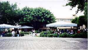 Walking around the school